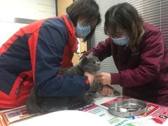 -伟伟宠物医院·CT影像中心·瑞派犬猫综合性门诊(汉口总院)