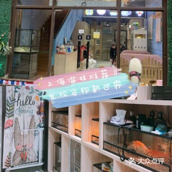 上海溜娃推荐‖发现宠物新世界