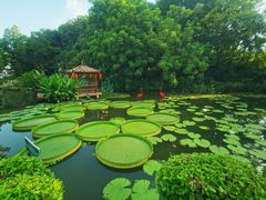 -广州莲花山旅游区