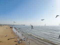 -南戴河旅游度假区