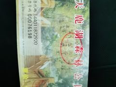 -天鹿湖森林公园