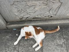 -宝通禅寺