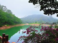 -大雁山风景区