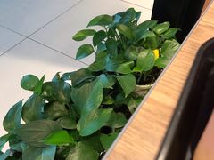 -肯德基(沧州高铁站店)