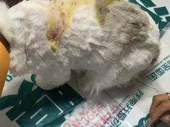 -瑞派宠物医院·24h·骨外科·皮肤科·全科宠物医疗转诊中心(沈阳浑南院)