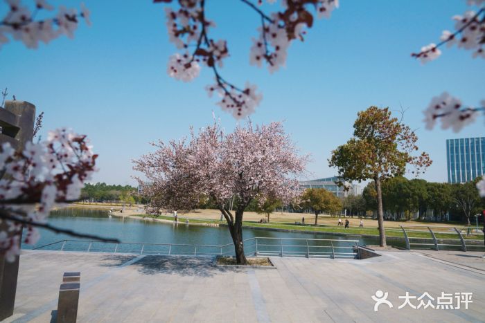 同济大学(嘉定校区)图片