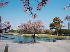 -同济大学(嘉定校区)