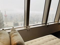 -上海柏悦酒店