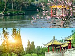 -渌洋湖湿地公园
