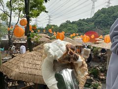 -伴山茶苑·一盏冰茶·半日山居