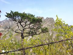 -大连天门山国家森林公园