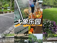 -野象谷景区