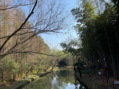 -同里国家湿地公园