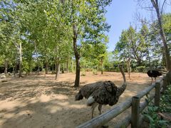 -大连森林动物园