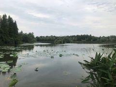 -艾溪湖湿地公园