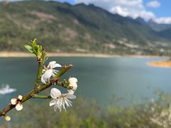 -广州市流溪河国家森林公园