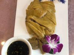 三黄鸡-旭龙鱼头王(航华店)