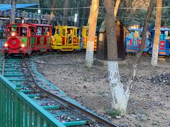 -长白岛森林公园