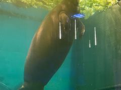 -泉城欧乐堡海洋极地世界