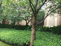 -上海浦东星河湾酒店