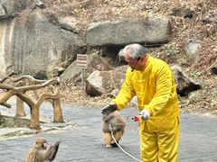 -洛阳花果山景区