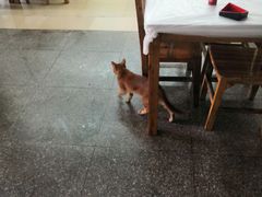 -志和饮食店