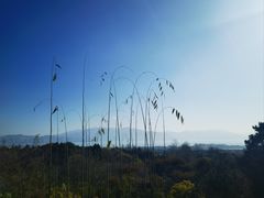 -蝴蝶泉公园