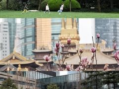 -静安公园(静安寺街道)