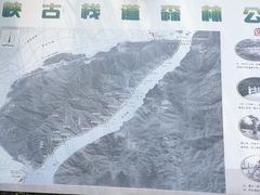 -羚羊峡古栈道森林公园