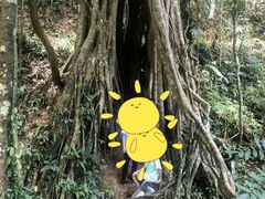 -中国科学院西双版纳热带植物园