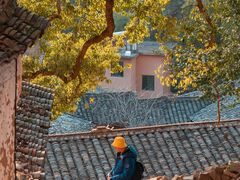-杨家堂村