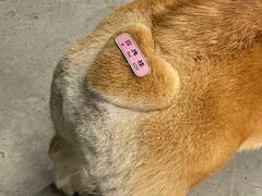 -稀物集咖啡(徽州大道店)