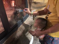 -酷嗒动物文化乐园(cutezoo西溪乐天城店)