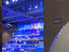 -青蓬蒸汽海鲜·深圳老字号·团建聚会(壹方城店)