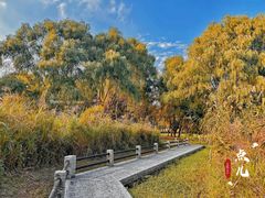 -长广溪湿地公园