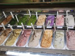 -鹤茶野所(上海首店)