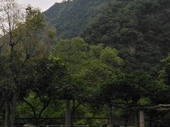 -太鲁阁公园