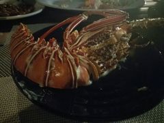 -越海渔村