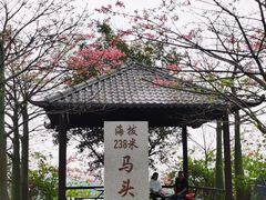 -马头山