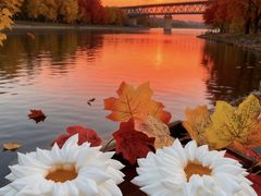 -汉水谣·江景餐厅(江滩店)