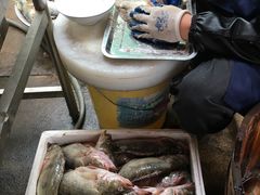 红烧臭鳜鱼（条）-水香园·中国徽菜名店(紫霞大道店)