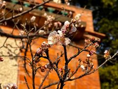 -草庵摩尼教遗址公园