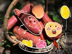 -艺年级儿童语言艺术中心(冉家坝爱融荟城店)