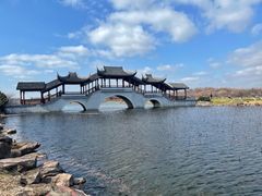 -上海海湾国家森林公园