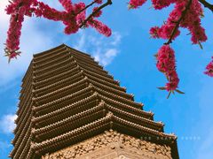 -玲珑塔公园