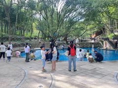 -东明山森林公园