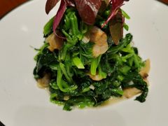 -紫光园·烤鸭·北京菜(劲松店)