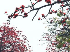 -小南山公园
