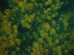 -靖西鹅泉风景区