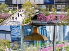 -深圳湾万象城(南山店)